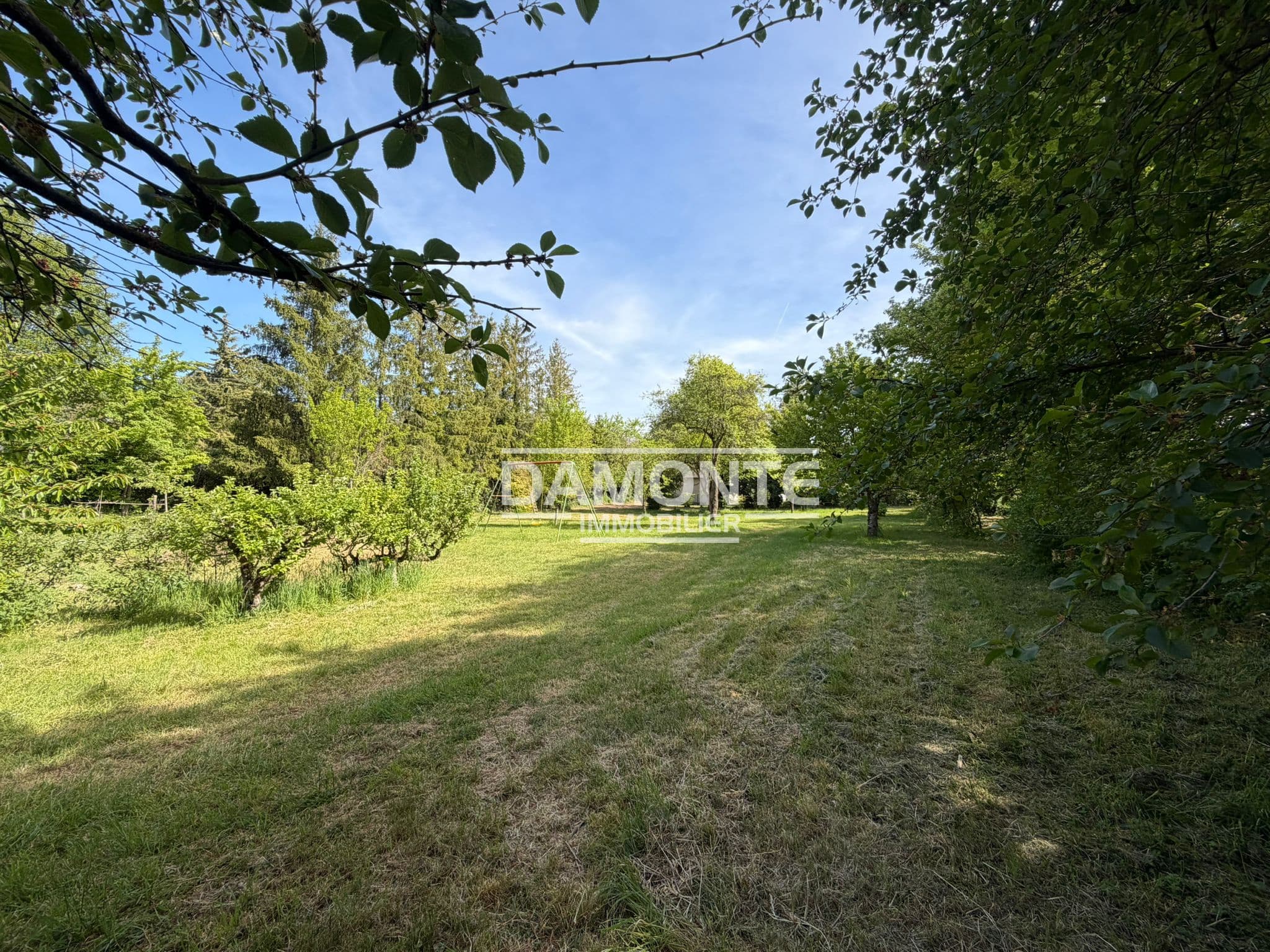 NOUVEAUTE- Propriété de T7 — photo 13