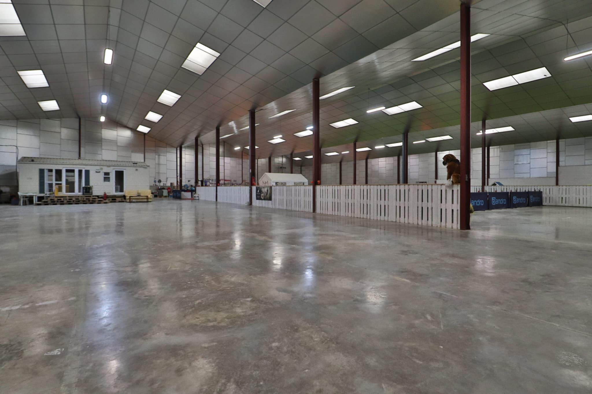 HANGAR VILLACERF — photo 6