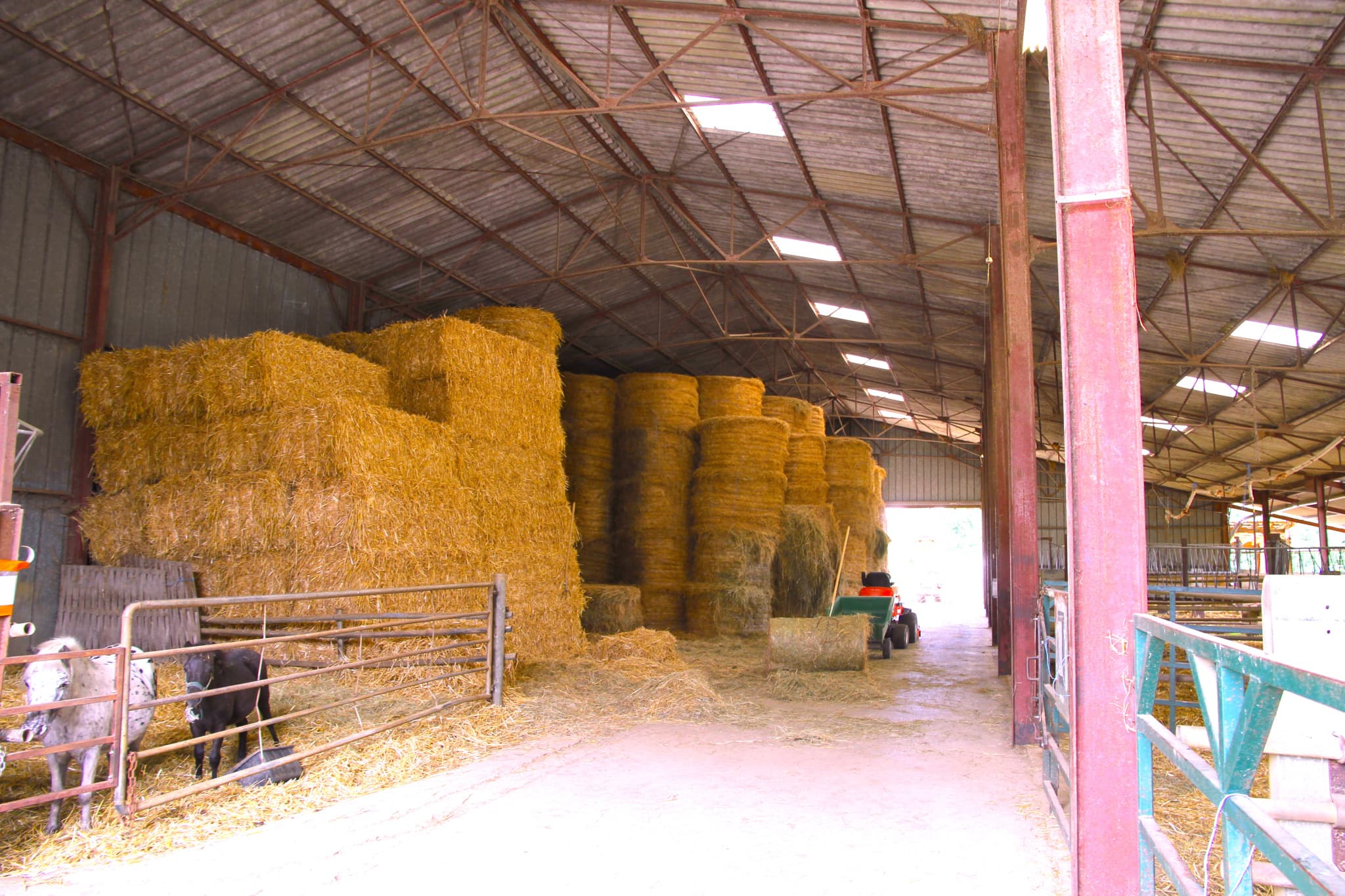 Grande propriété de caractère Un cadre naturel d’exception en région de Chaource (10210) — photo 13