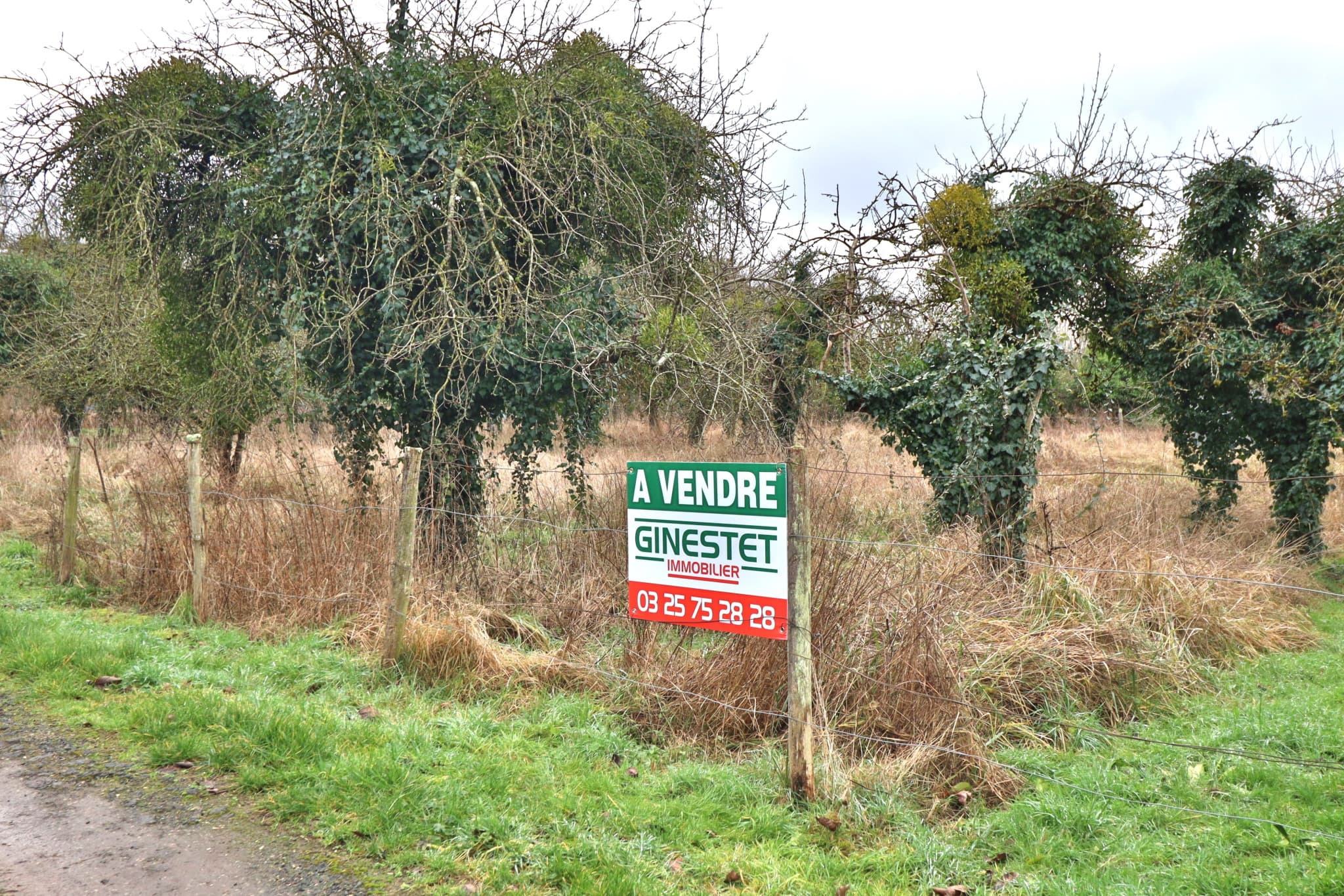 TERRAIN A BÂTIR FORÊT D'OTHE — photo 1