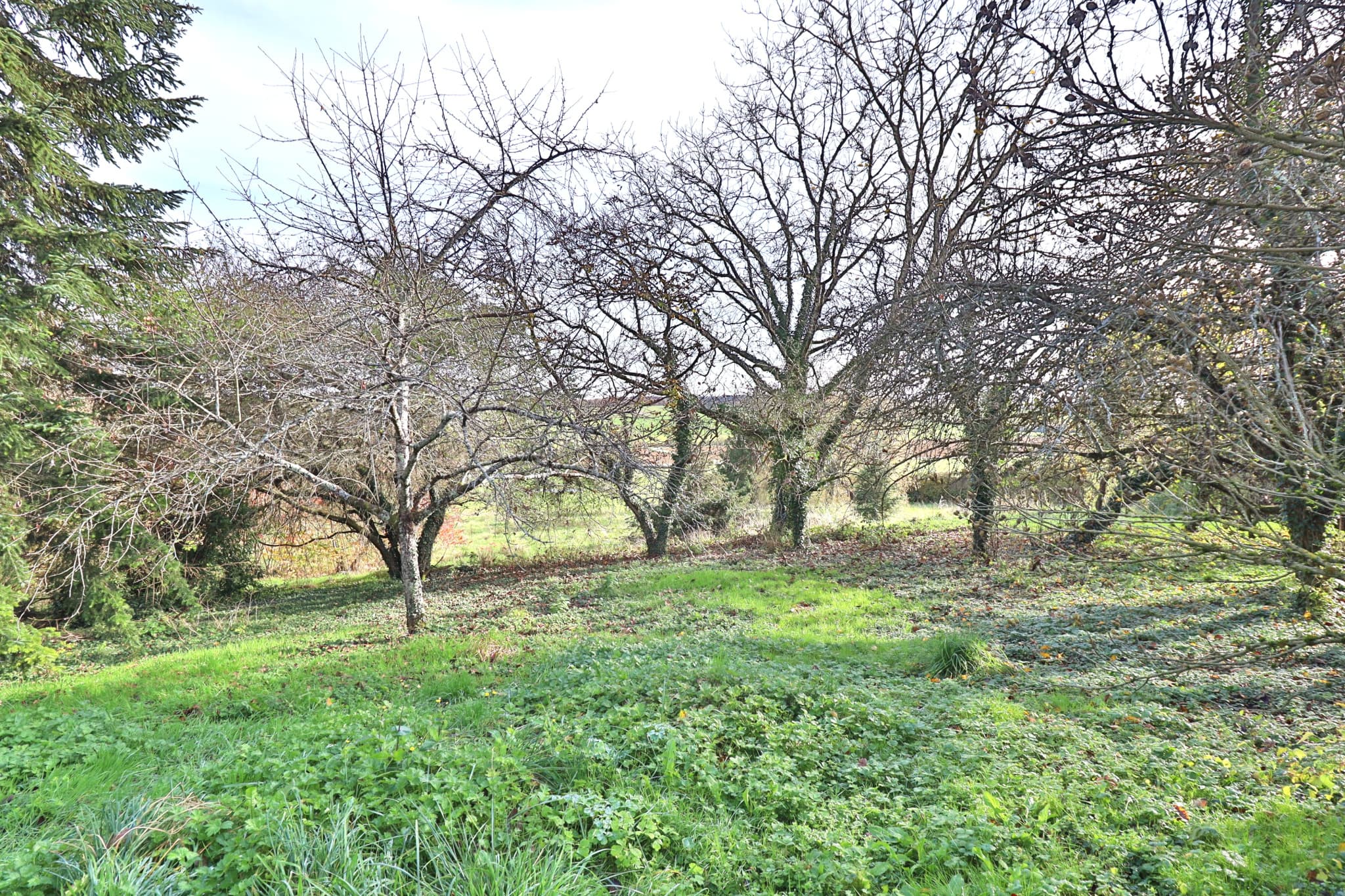 CHAOURCE - BELLE MAISON AVEC TERRAIN, PISCINE, DEPENDANCES — photo 16