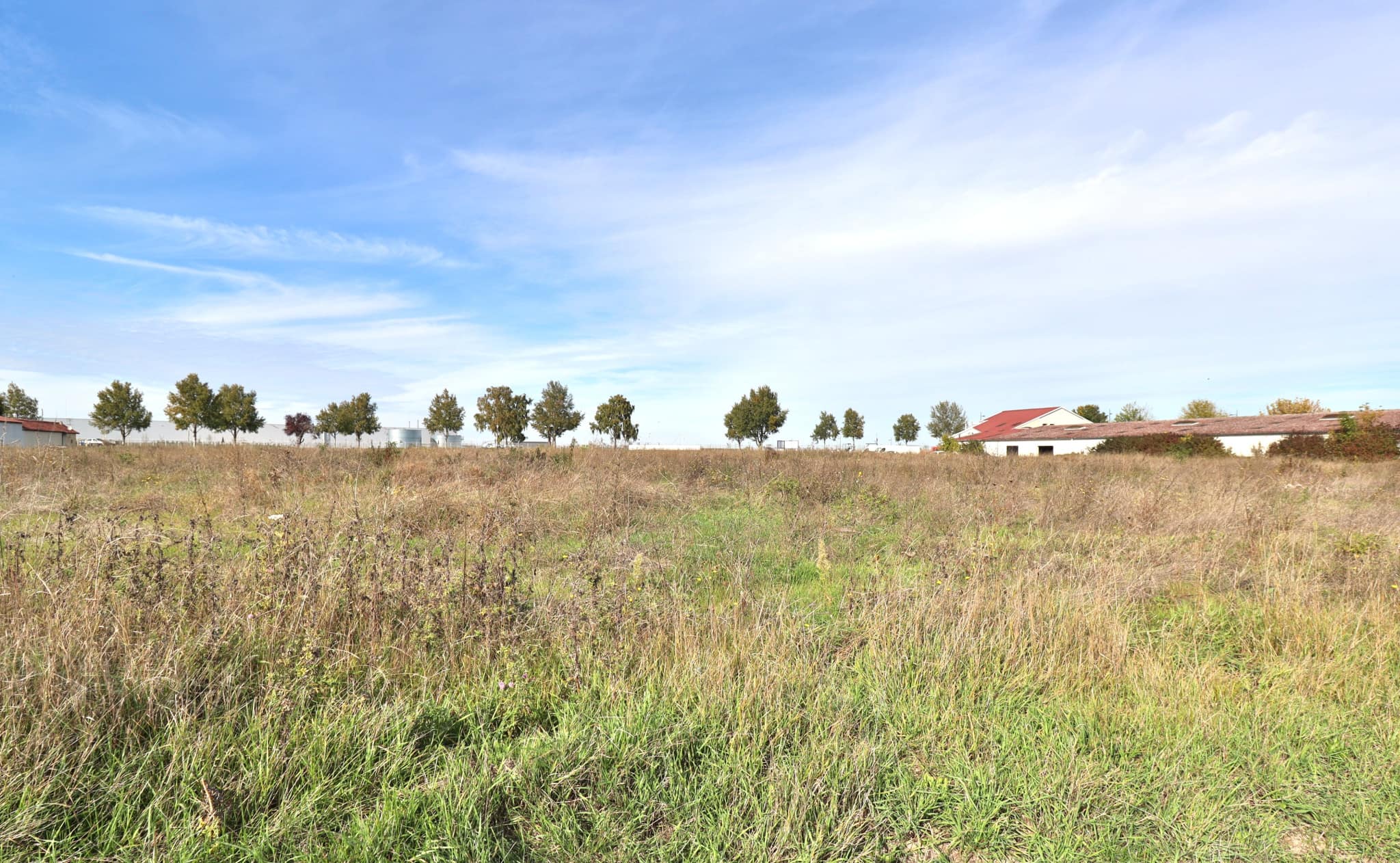TERRAIN 16556m2