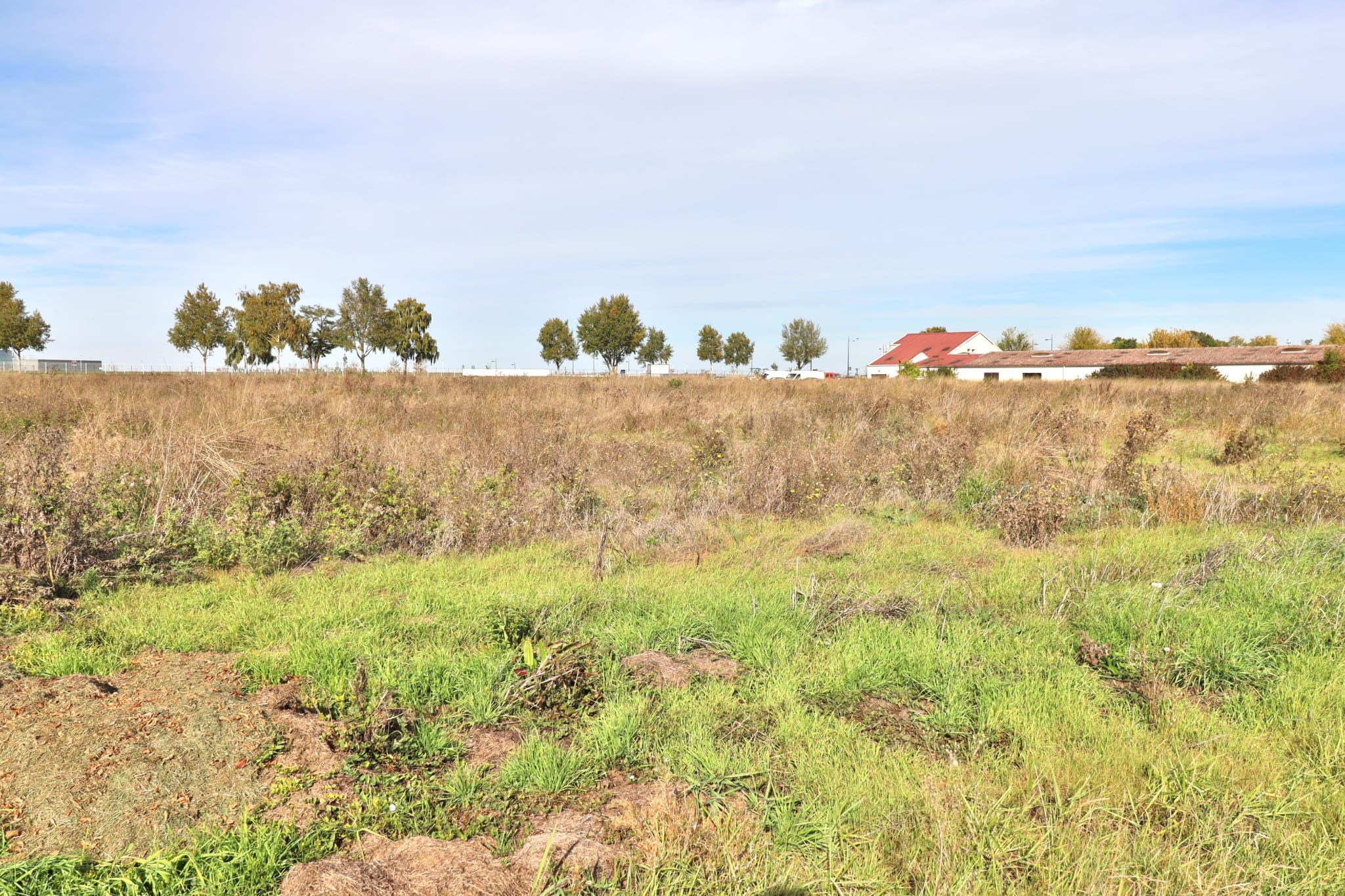 TERRAIN 16556m2 — photo 3