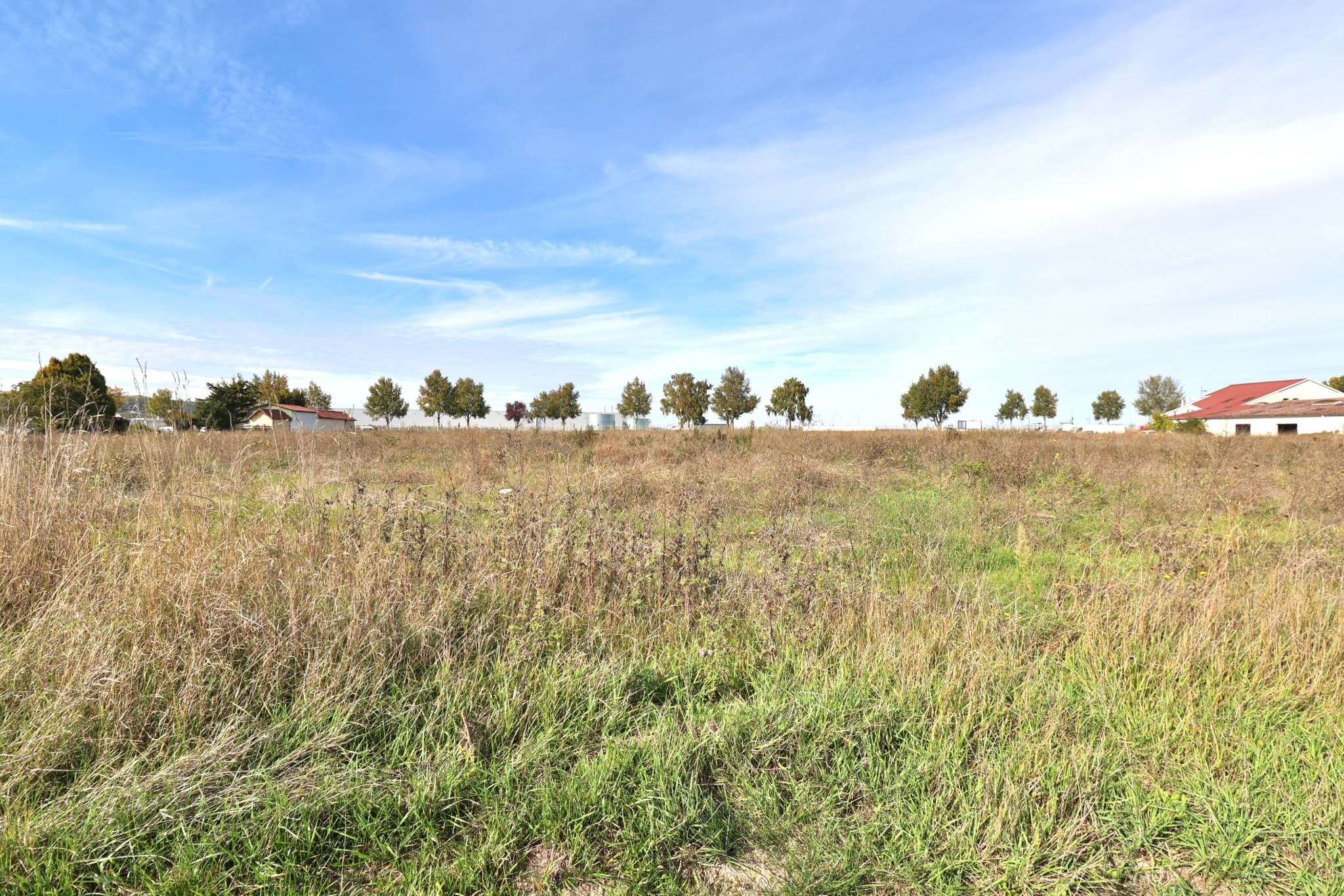 TERRAIN 16556m2 — photo 4